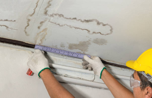 Reliable Sewage Cleanup contractor in Blue Springs, MS by Water Damage Irwin